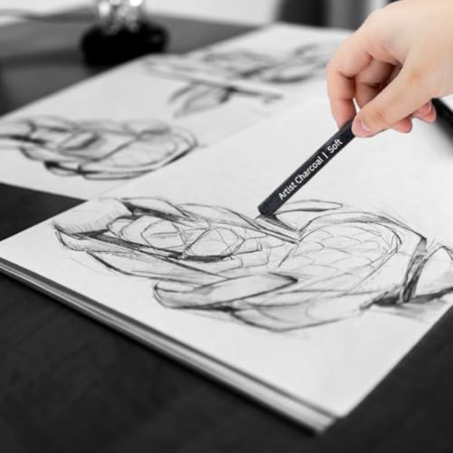 Compressed Charcoal Sticks 6 P - Rubber Eraser Kneaded reseña y precio
